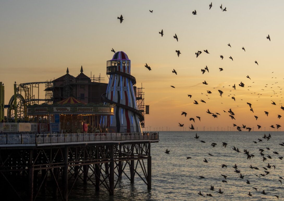 brighton sea landscape