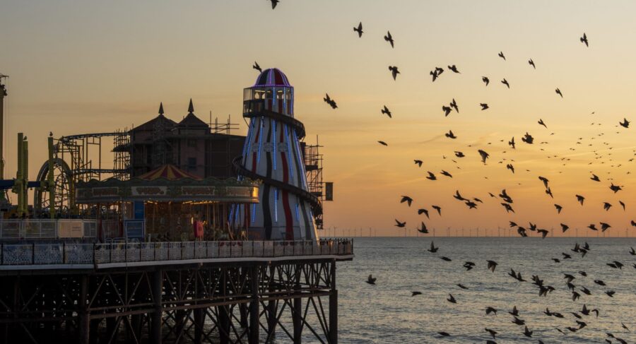 brighton sea landscape