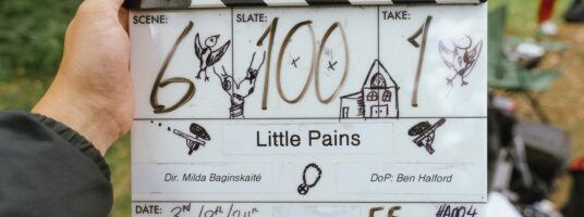 Little Pains, MetFilm School
